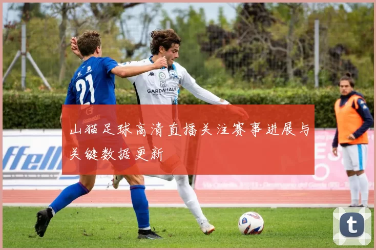 山猫足球高清直播关注赛事进展与关键数据更新