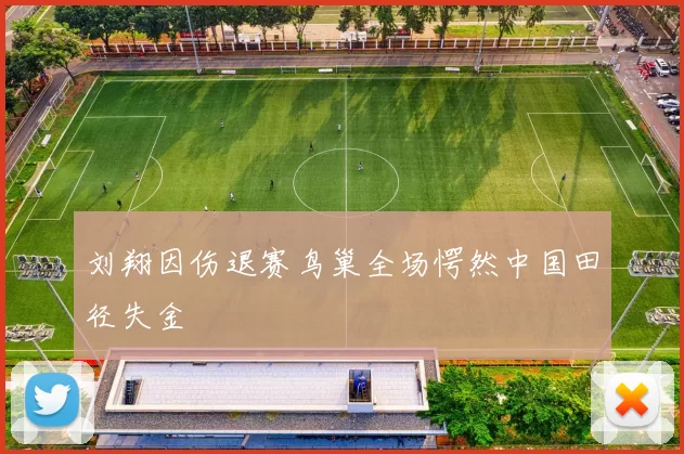 刘翔因伤退赛鸟巢全场愕然中国田径失金