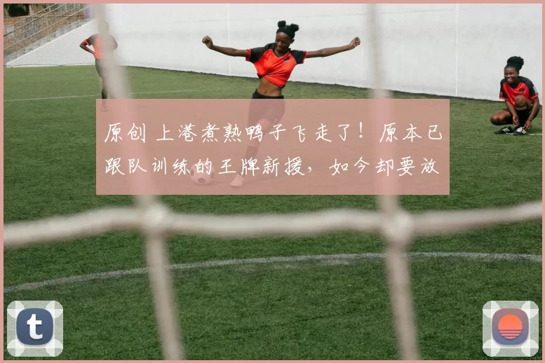 原创 上港煮熟鸭子飞走了！原本已跟队训练的王牌新援，如今却要放鸽子走人