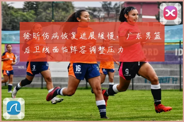 徐昕伤病恢复进展缓慢,广东男篮后卫线面临阵容调整压力