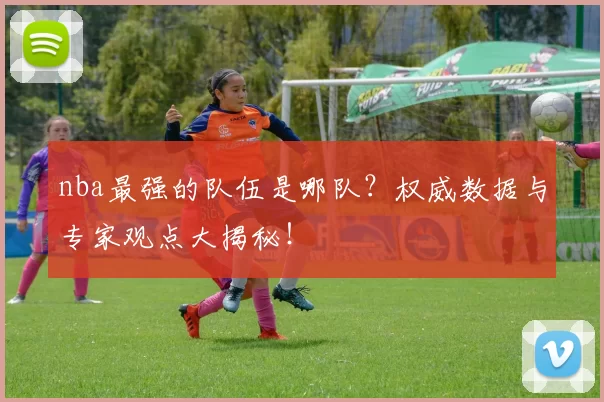 nba最强的队伍是哪队？权威数据与专家观点大揭秘！